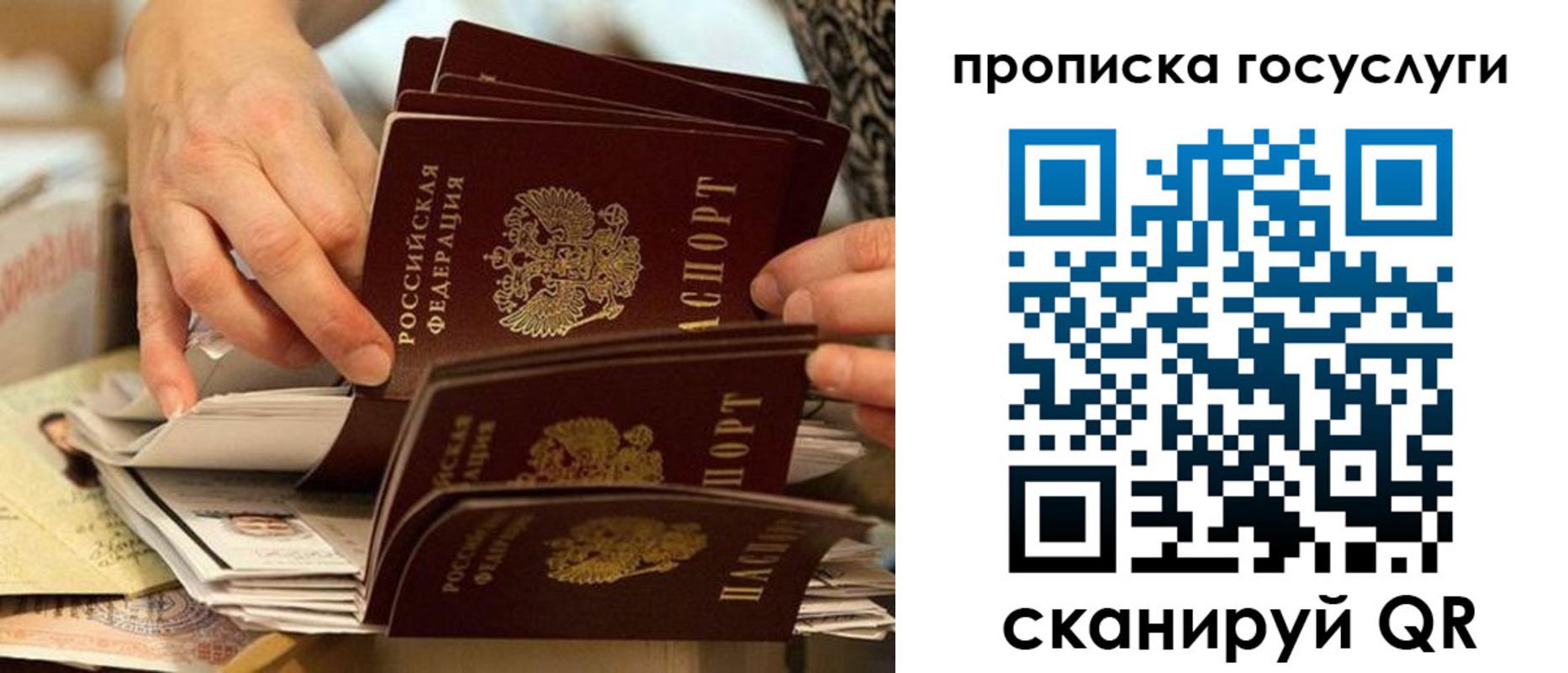 пропишу в квартире в Всеволожске