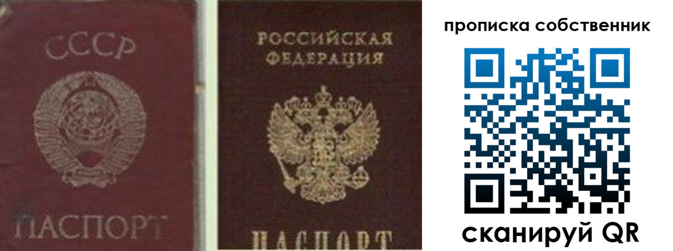 прописка 2025 в Всеволожске